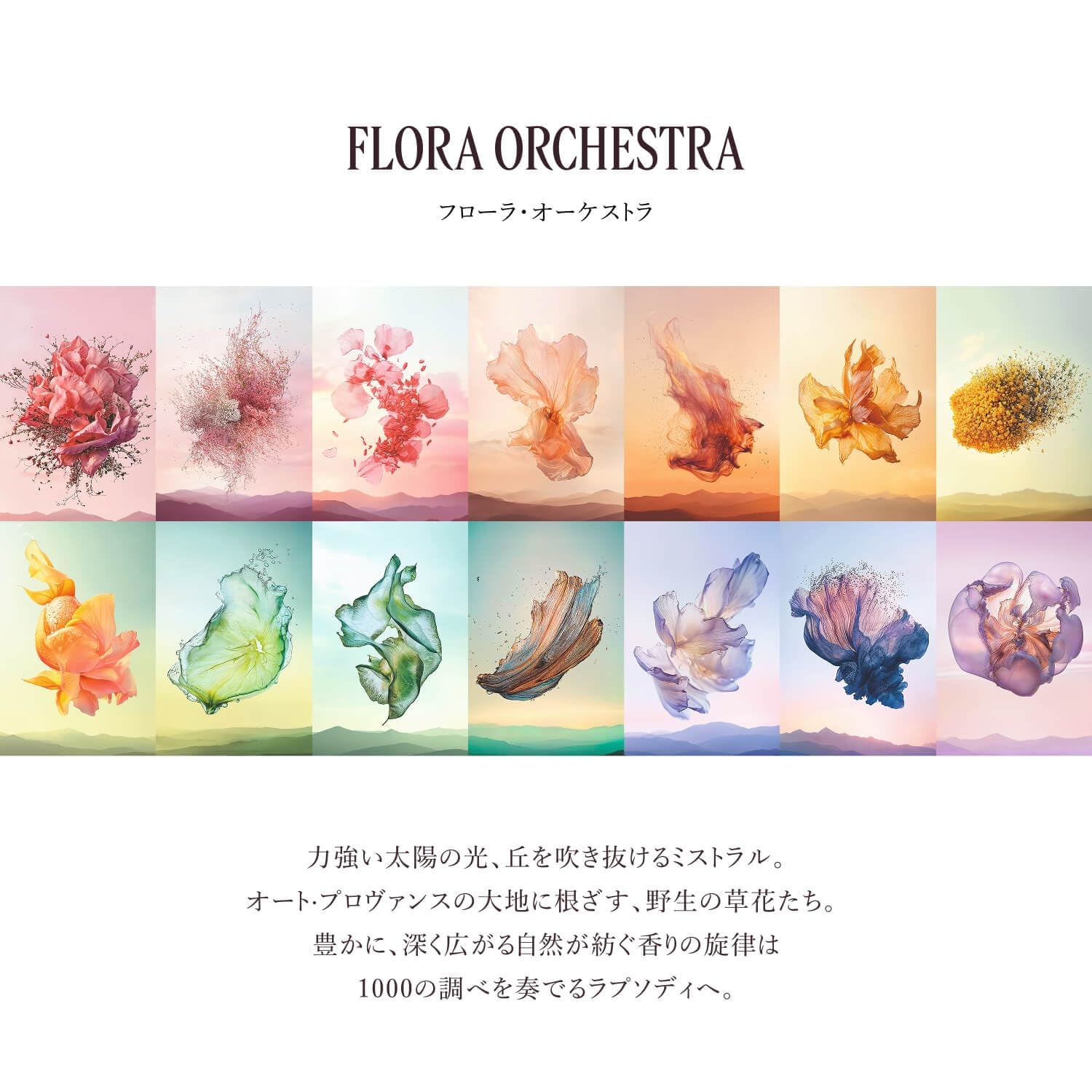 ロクシタン(L'OCCITANE) フルールドスリジエサクラ[チェリー