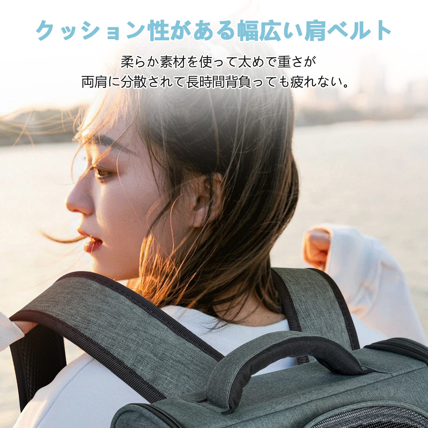 Tresbro 最新型 犬 猫 リュック カーテン付きの ペットキャリー